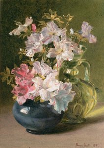 Azalea
